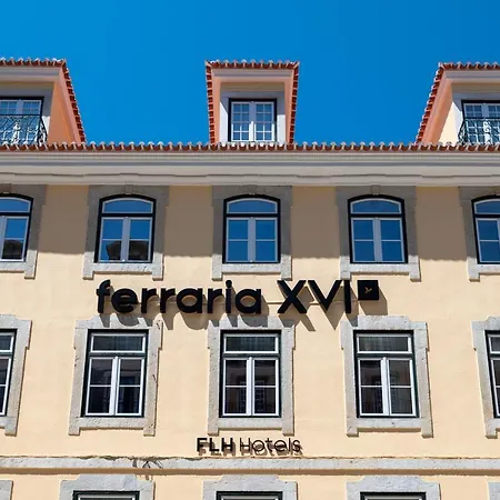 Ferraria Xvi Flh